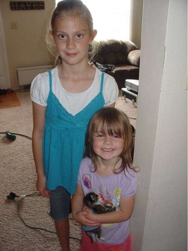 ../use_images/2010/baby_cats.JPG