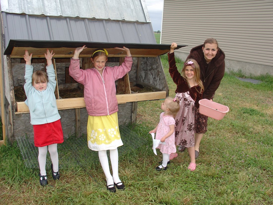 ../use_images/2010/chicken_coop.JPG