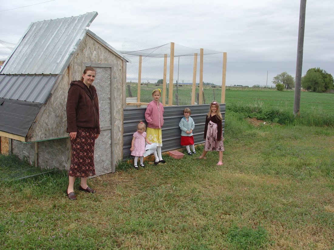 ../use_images/2010/chicken_coop_2.JPG