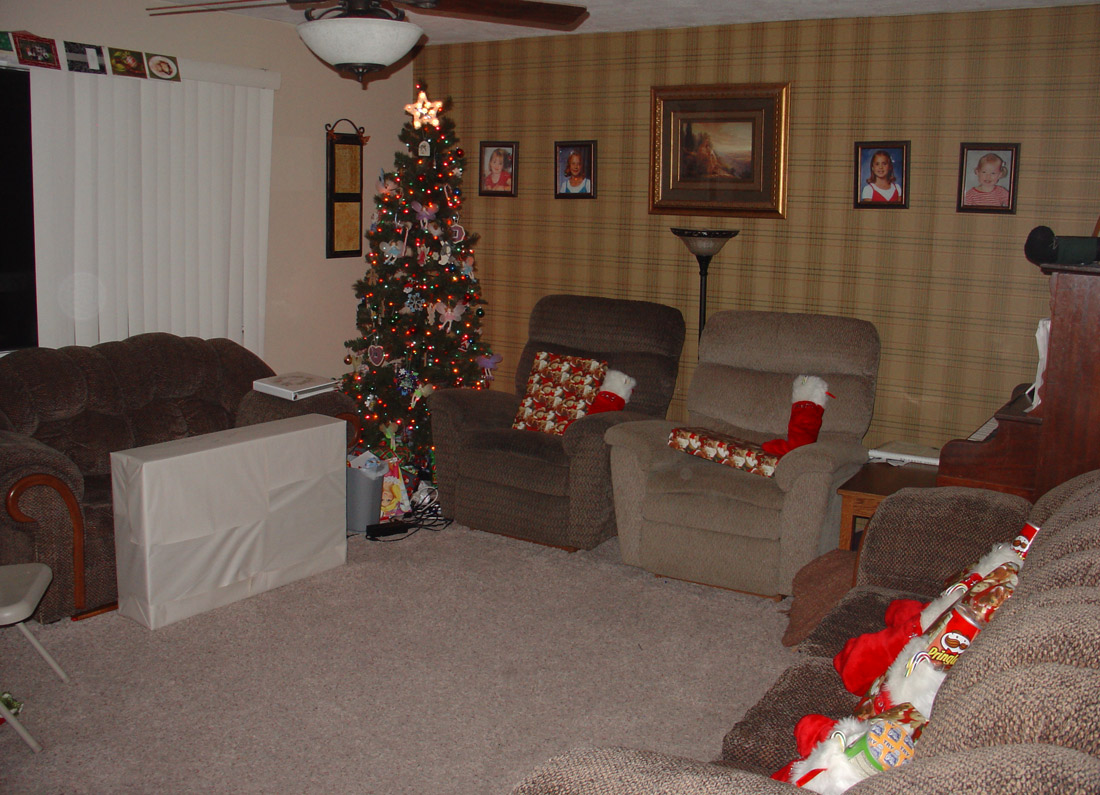 ../use_images/2010/christmas_night.jpg
