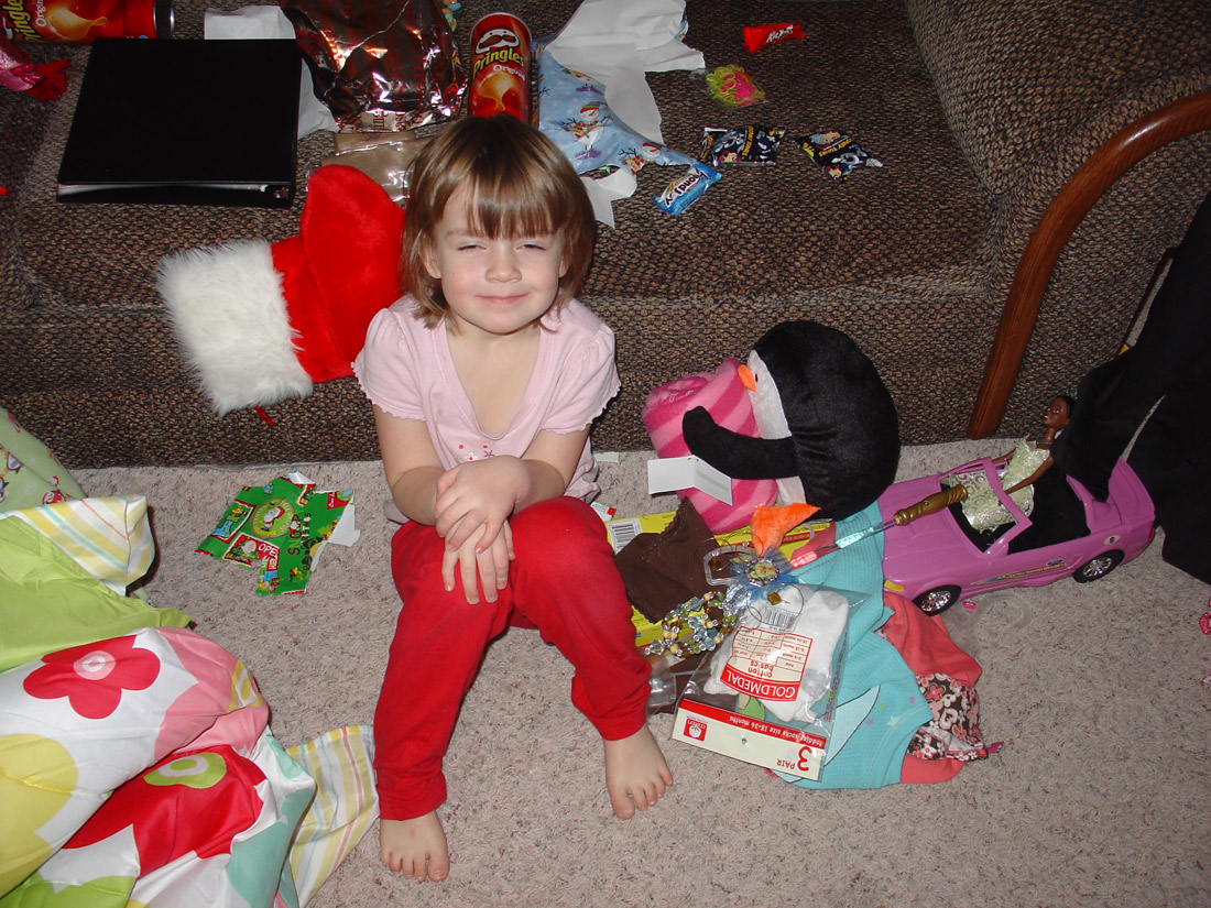 ../use_images/2010/vi_christmas.jpg