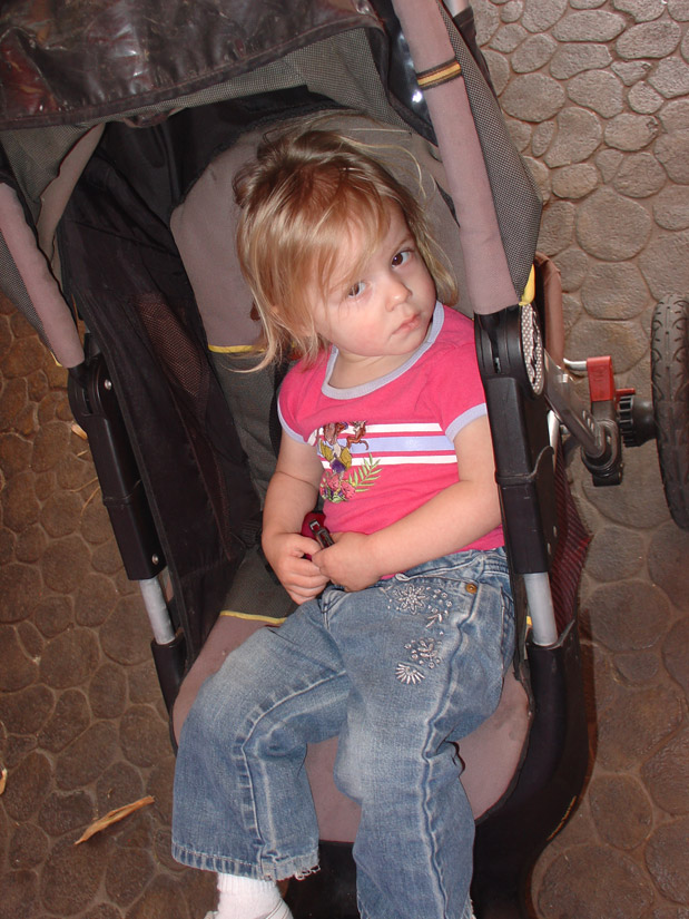 ../use_images/2010_vacation/CAtoosmalltoride.jpg