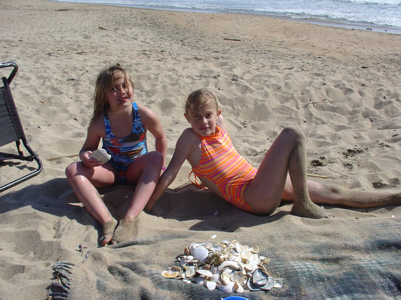 ../use_images/2010_vacation/ErithTricshells.jpg