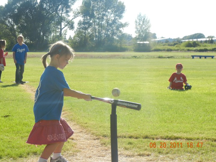 ../use_images/2011/Viola_Batting.jpg ../use_images/2011/Viola_Batting.jpg