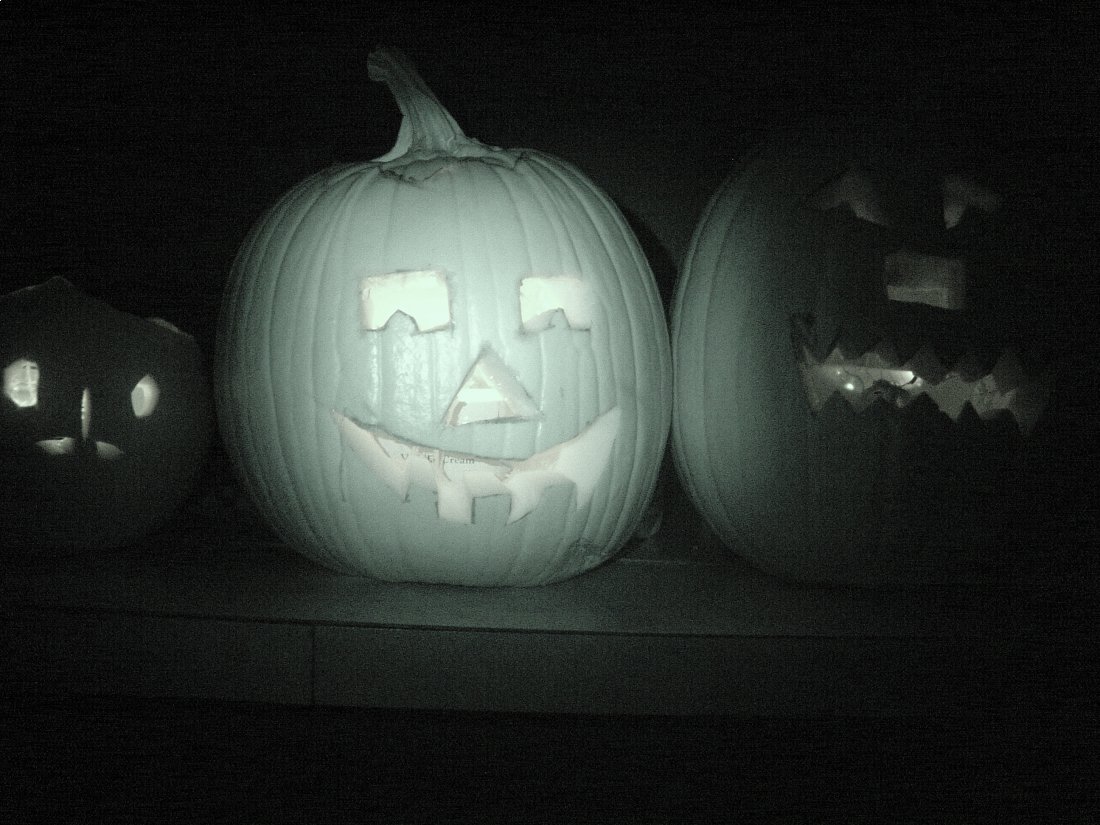 ../use_images/kids_2009/pumpkins_done.JPG