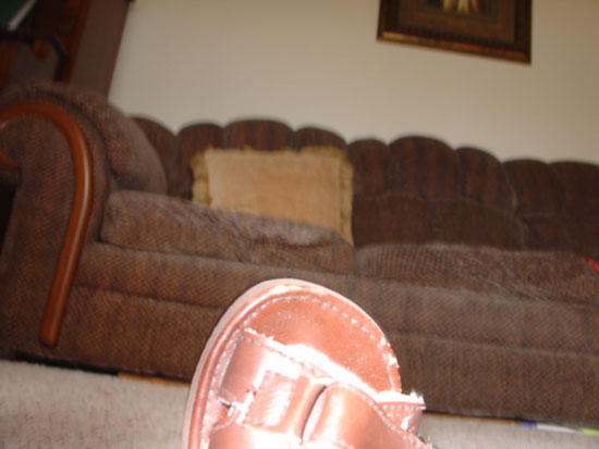 Violas very first picture